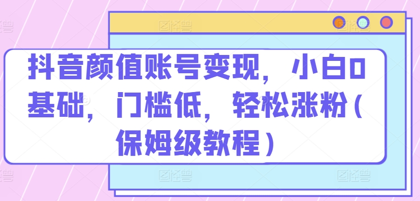 抖音颜值账号变现，小白0基础，门槛低，​轻松涨粉(保姆级教程)【揭秘】-瀚海资源库