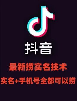 利用小红书一天精准引流100+，通过卖项目单日变现2k+，项目稳定，越做越香【揭秘】-瀚海资源库