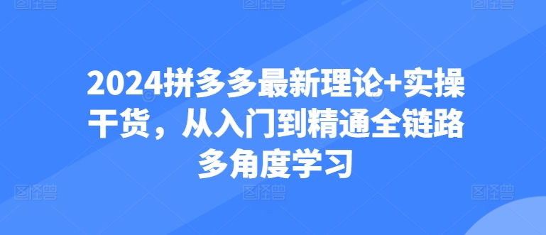2024拼多多最新理论+实操干货，从入门到精通全链路多角度学习-瀚海资源库