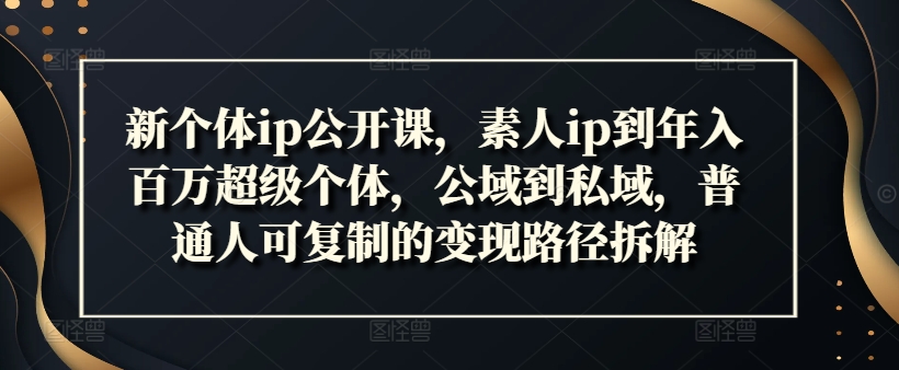 新个体ip公开课，素人ip到年入百万超级个体，公域到私域，普通人可复制的变现路径拆解-瀚海资源库