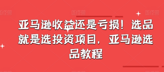 亚马逊收益还是亏损！选品就是选投资项目，亚马逊选品教程-瀚海资源库