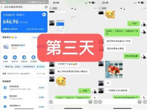货币掘金项目,3天卖了2720!新项目内测组【限10人】-瀚海资源库