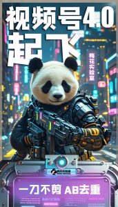 梅花实验窒微信视频号连怼玩法技巧起飞4.0一键AB破解版【揭秘】-瀚海资源库