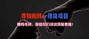 得物搬砖撸货项目?掰下数据,我给你们说说顶层思维【揭秘】-瀚海资源库