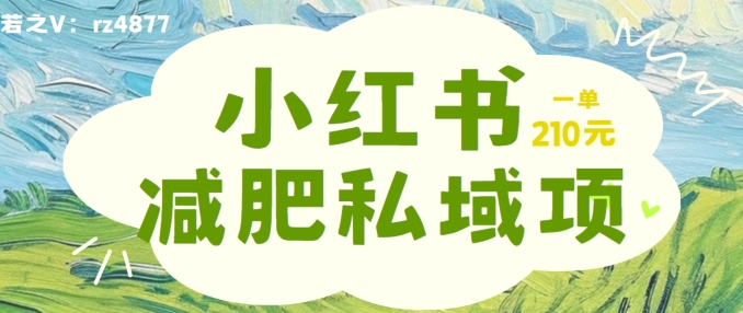 小红书减肥粉，私域变现项目，一单就达210元，小白也能轻松上手【揭秘】-瀚海资源库