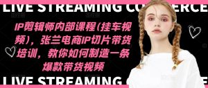 IP剪辑师内部课程(挂车视频)（更新09月），张兰电商IP切片带货培训，教你如何制造一条爆款带货视频-瀚海资源库