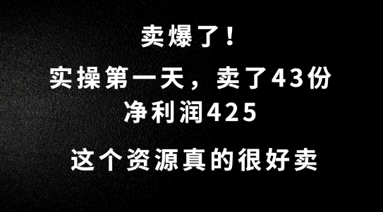 这个资源，需求很大，实操第一天卖了43份，净利润425【揭秘】-瀚海资源库