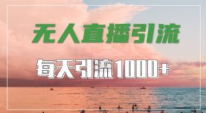 抖音快手视频号全平台通用,无人直播引流法,超暴力引流1000+高质量精准创业粉【揭秘】-瀚海资源库