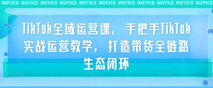 TikTok全域运营课，手把手TikTok实战运营教学，打造带货全链路生态闭环-瀚海资源库