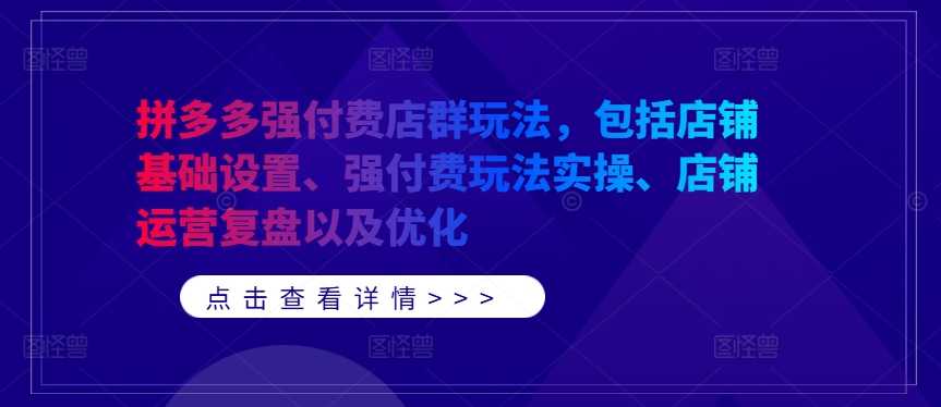拼多多强付费店群玩法，包括店铺基础设置、强付费玩法实操、店铺运营复盘以及优化-瀚海资源库