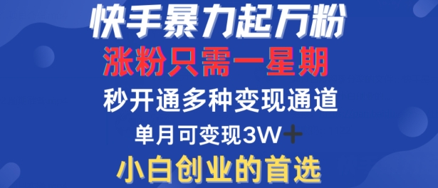 快手暴力起万粉，涨粉只需一星期，多种变现模式，直接秒开万合，单月变现过W【揭秘】-瀚海资源库