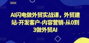 AI闪电做外贸实战课,外贸建站-开发客户-内容营销-从0到3做外贸AI(更新)-瀚海资源库