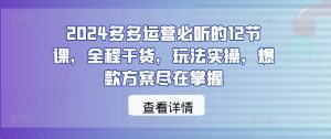 2024多多运营必听的12节课,全程干货,玩法实操,爆款方案尽在掌握-瀚海资源库