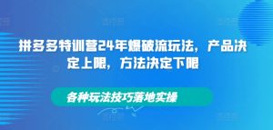 拼多多特训营24年爆破流玩法,产品决定上限,方法决定下限,各种玩法技巧落地实操-瀚海资源库