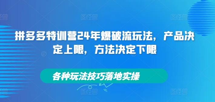 拼多多特训营24年爆破流玩法，产品决定上限，方法决定下限，各种玩法技巧落地实操-瀚海资源库