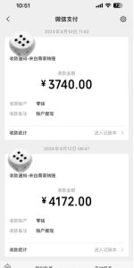 手机搬砖项目,可以矩阵化操作,新手一个月轻松5000多-瀚海资源库